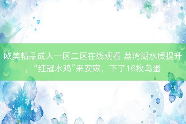 欧美精品成人一区二区在线观看 荔湾湖水质提升，“红冠水鸡”来安家，下了16枚鸟蛋