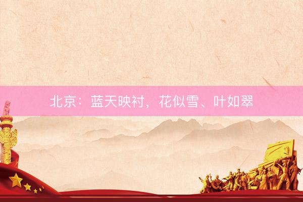北京：蓝天映衬，花似雪、叶如翠