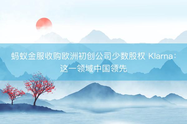 蚂蚁金服收购欧洲初创公司少数股权 Klarna：这一领域中国领先