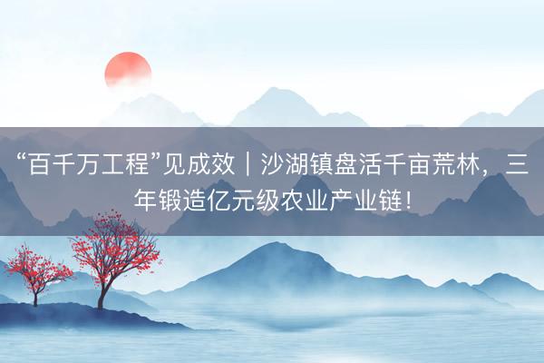 “百千万工程”见成效｜沙湖镇盘活千亩荒林，三年锻造亿元级农业产业链！