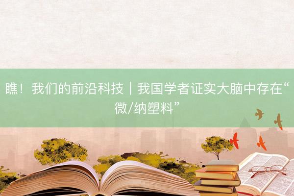 瞧！我们的前沿科技｜我国学者证实大脑中存在“微/纳塑料”