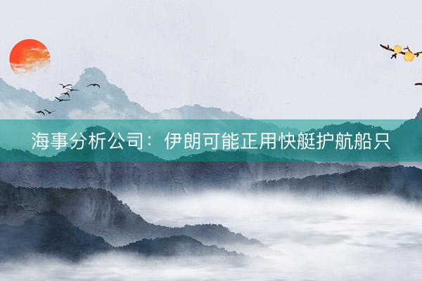 海事分析公司：伊朗可能正用快艇护航船只