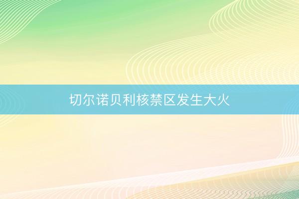 切尔诺贝利核禁区发生大火