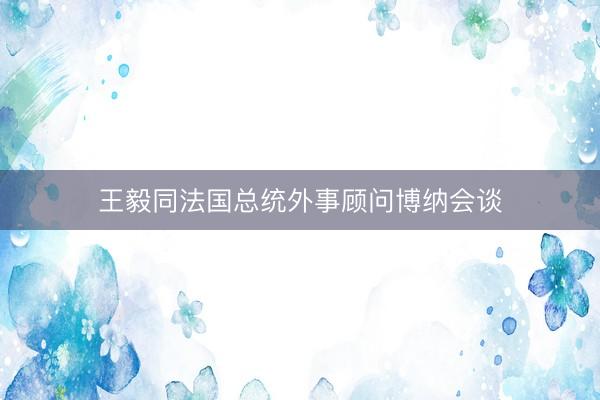 王毅同法国总统外事顾问博纳会谈
