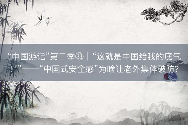 “中国游记”第二季㉝｜“这就是中国给我的底气！”——“中国式安全感”为啥让老外集体破防？