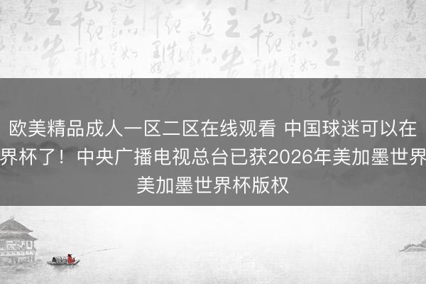 欧美精品成人一区二区在线观看 中国球迷可以在家看世界杯了！中央广播电视总台已获2026年美加墨世界杯版权