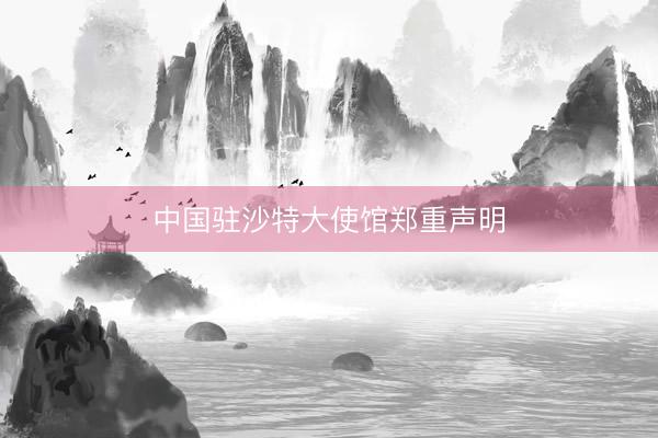 中国驻沙特大使馆郑重声明