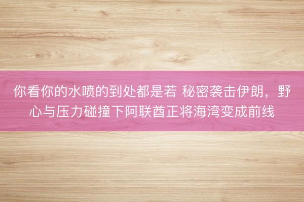 你看你的水喷的到处都是若 秘密袭击伊朗，野心与压力碰撞下阿联酋正将海湾变成前线