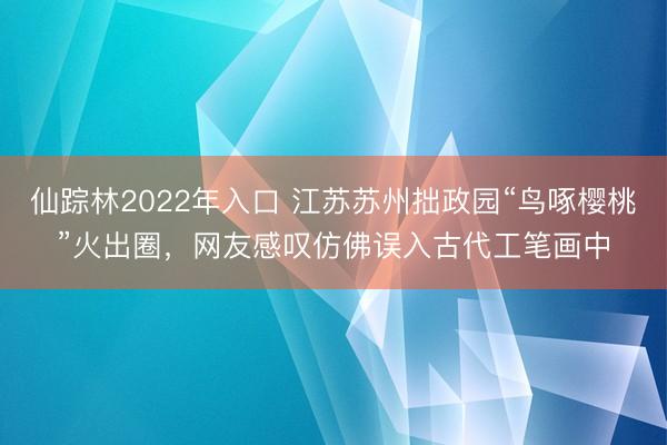 仙踪林2022年入口 江苏苏州拙政园“鸟啄樱桃”火出圈，网友感叹仿佛误入古代工笔画中
