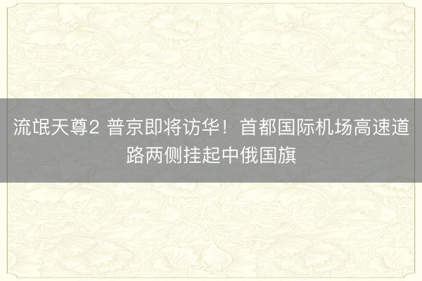流氓天尊2 普京即将访华！首都国际机场高速道路两侧挂起中俄国旗