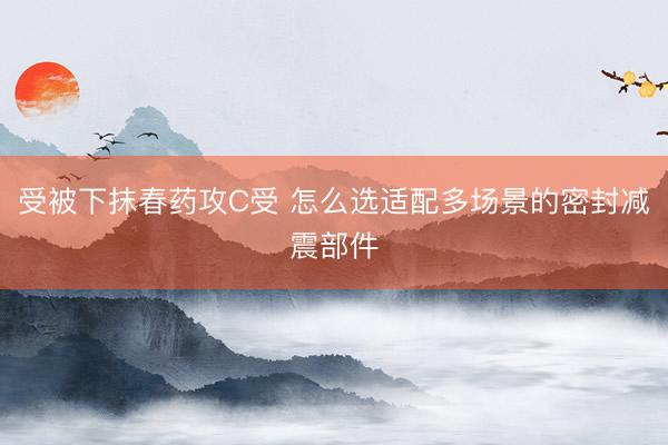 受被下抹春药攻C受 怎么选适配多场景的密封减震部件