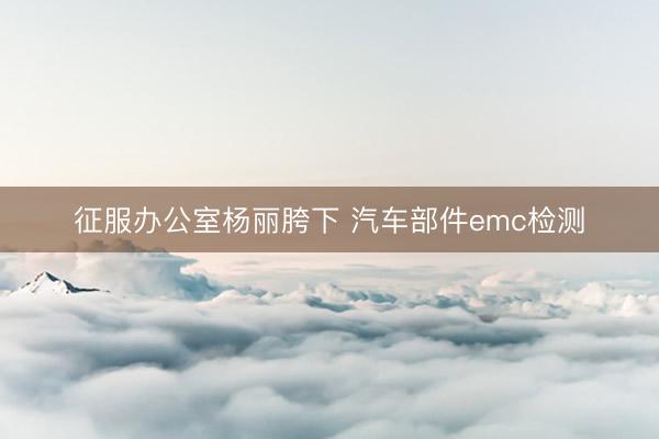 征服办公室杨丽胯下 汽车部件emc检测