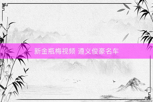 新金瓶梅视频 遵义俊豪名车