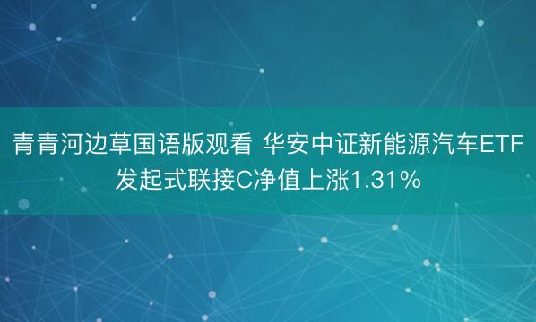 青青河边草国语版观看 华安中证新能源汽车ETF发起式联接C净值上涨1.31%