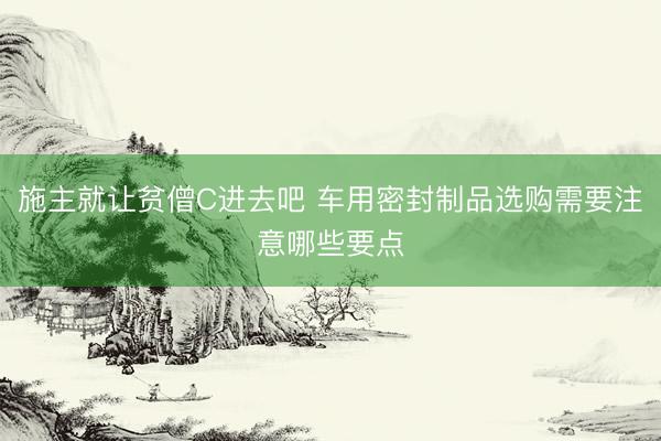 施主就让贫僧C进去吧 车用密封制品选购需要注意哪些要点