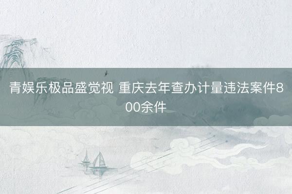 青娱乐极品盛觉视 重庆去年查办计量违法案件800余件