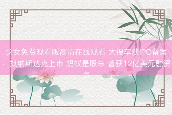 少女免费观看版高清在线观看 大搜车获IPO备案：拟纳斯达克上市 蚂蚁是股东 曾获12亿美元融资