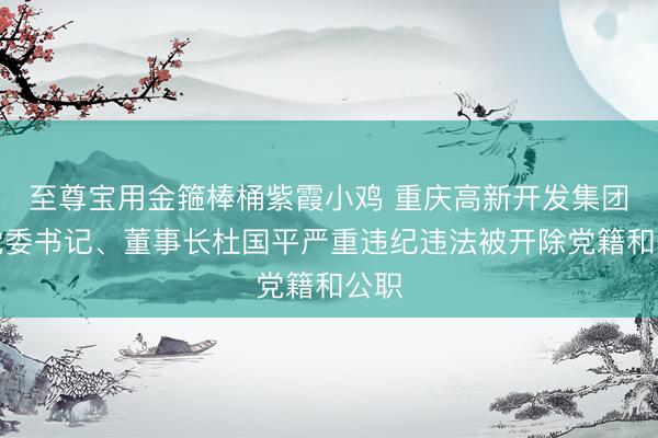 至尊宝用金箍棒桶紫霞小鸡 重庆高新开发集团原党委书记、董事长杜国平严重违纪违法被开除党籍和公职