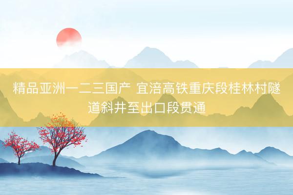 精品亚洲一二三国产 宜涪高铁重庆段桂林村隧道斜井至出口段贯通