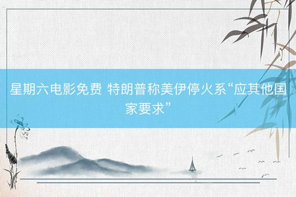 星期六电影免费 特朗普称美伊停火系“应其他国家要求”