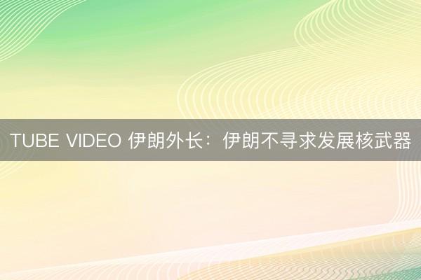 TUBE VIDEO 伊朗外长：伊朗不寻求发展核武器