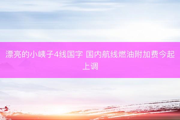 漂亮的小峓子4线国字 国内航线燃油附加费今起上调