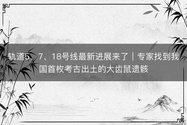 轨道5、7、18号线最新进展来了｜专家找到我国首枚考古出土的大齿鼠遗骸