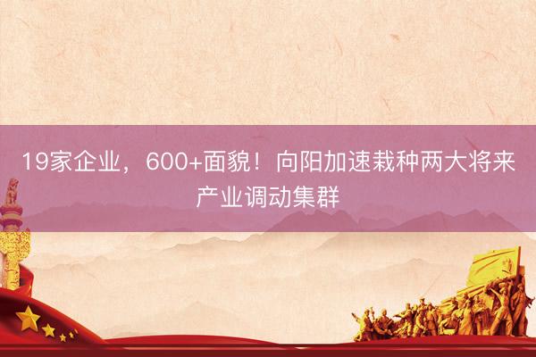19家企业，600+面貌！向阳加速栽种两大将来产业调动集群