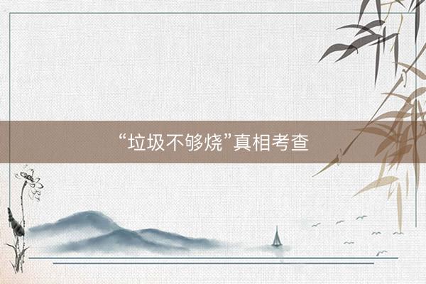 “垃圾不够烧”真相考查