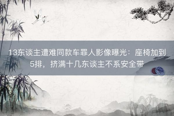 13东谈主遭难同款车罪人影像曝光：座椅加到5排，挤满十几东谈主不系安全带