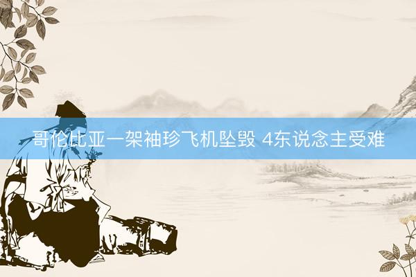 哥伦比亚一架袖珍飞机坠毁 4东说念主受难