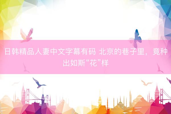 日韩精品人妻中文字幕有码 北京的巷子里，竟种出如斯“花”样