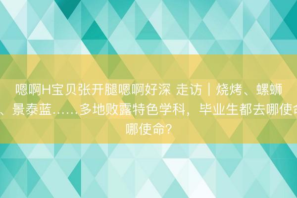 嗯啊H宝贝张开腿嗯啊好深 走访｜烧烤、螺蛳粉、景泰蓝……多地败露特色学科，毕业生都去哪使命？