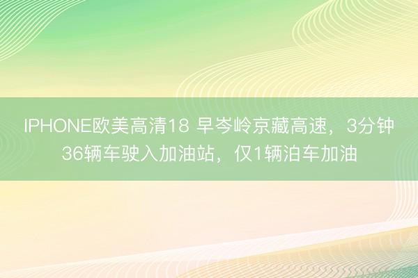 IPHONE欧美高清18 早岑岭京藏高速，3分钟36辆车驶入加油站，仅1辆泊车加油