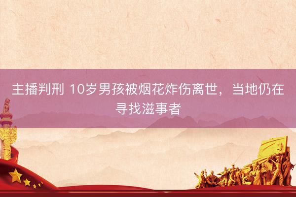 主播判刑 10岁男孩被烟花炸伤离世，当地仍在寻找滋事者