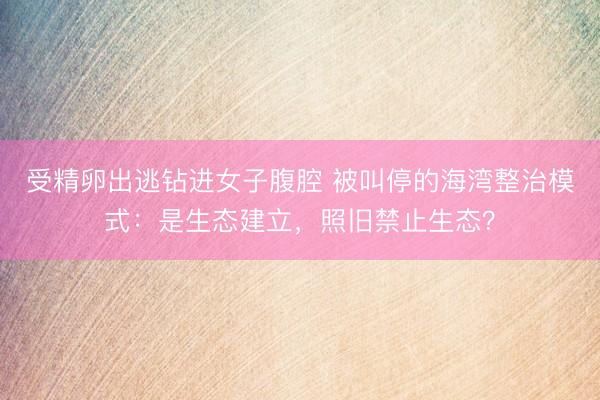 受精卵出逃钻进女子腹腔 被叫停的海湾整治模式：是生态建立，照旧禁止生态？