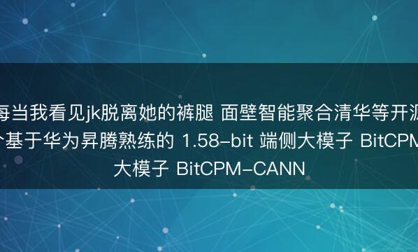 每当我看见jk脱离她的裤腿 面壁智能聚合清华等开源中国首个基于华为昇腾熟练的 1.58-bit 端侧大模子 BitCPM-CANN