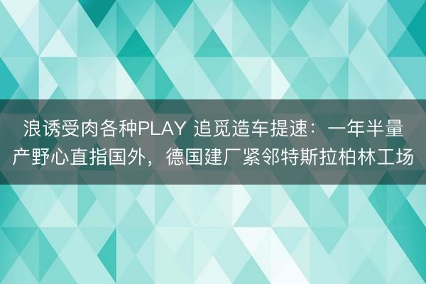 浪诱受肉各种PLAY 追觅造车提速：一年半量产野心直指国外，德国建厂紧邻特斯拉柏林工场