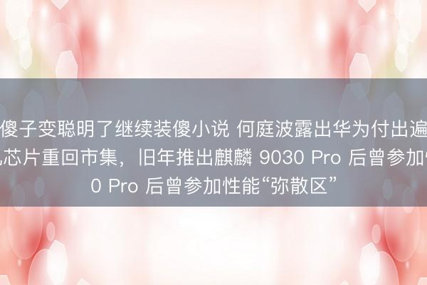 傻子变聪明了继续装傻小说 何庭波露出华为付出遍及悉力使手机芯片重回市集，旧年推出麒麟 9030 Pro 后曾参加性能“弥散区”