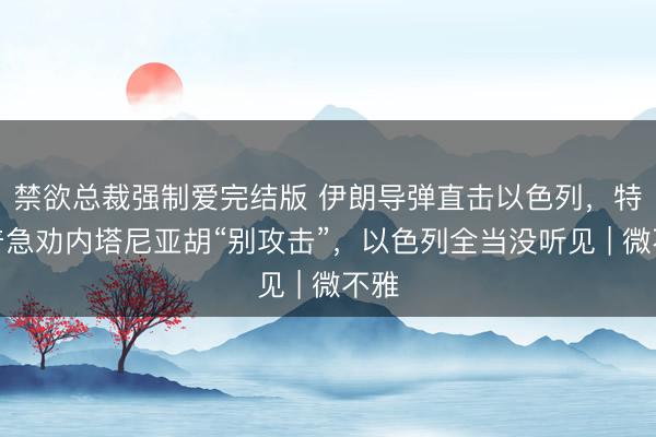 禁欲总裁强制爱完结版 伊朗导弹直击以色列，特朗普急劝内塔尼亚胡“别攻击”，以色列全当没听见 | 微不雅