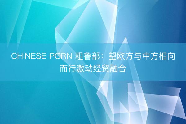 CHINESE PORN 粗鲁部:望欧方与中方相向而行激动经贸融合