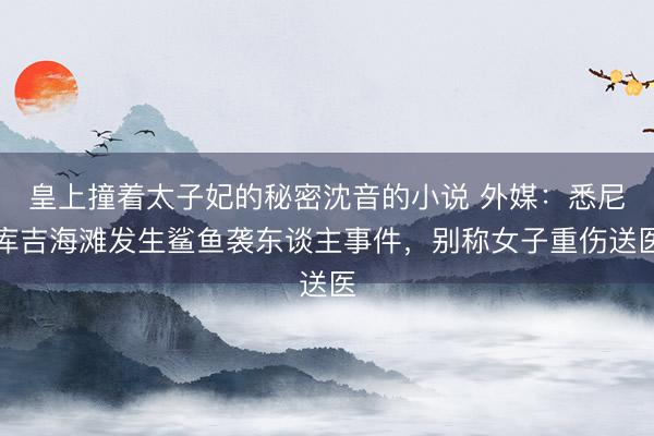 皇上撞着太子妃的秘密沈音的小说 外媒：悉尼库吉海滩发生鲨鱼袭东谈主事件，别称女子重伤送医
