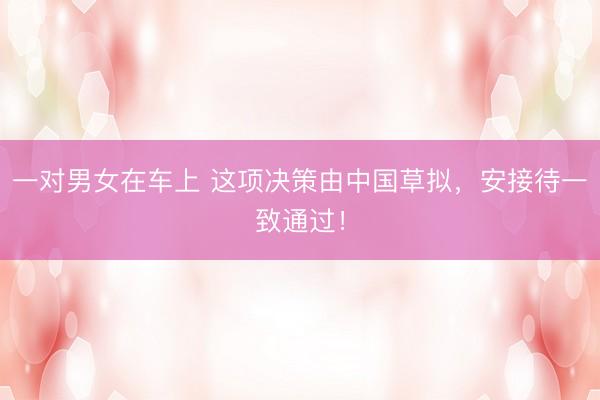 一对男女在车上 这项决策由中国草拟，安接待一致通过！