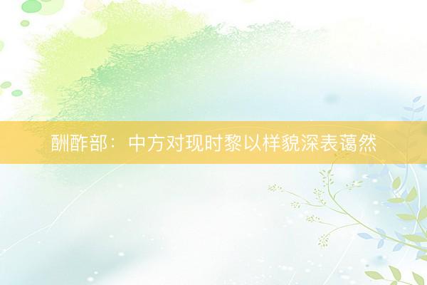 酬酢部：中方对现时黎以样貌深表蔼然