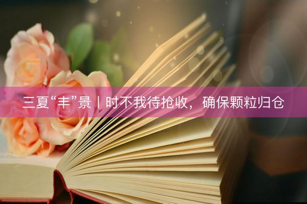 三夏“丰”景丨时不我待抢收，确保颗粒归仓