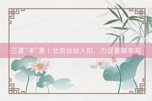 三夏“丰”景丨北京丝丝入扣，力促夏粮丰充