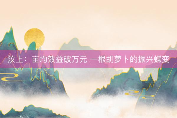 汶上：亩均效益破万元 一根胡萝卜的振兴蝶变