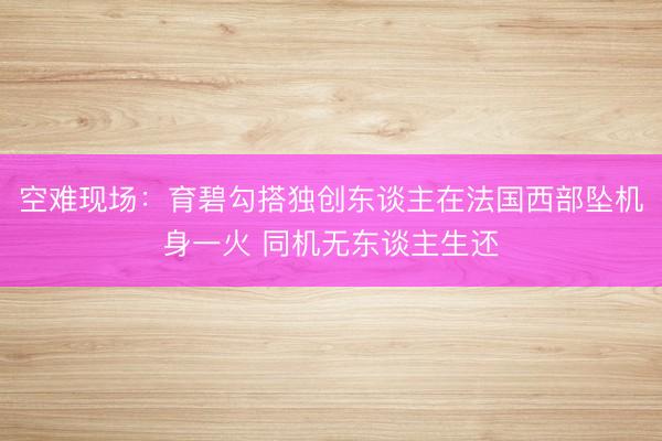 空难现场：育碧勾搭独创东谈主在法国西部坠机身一火 同机无东谈主生还