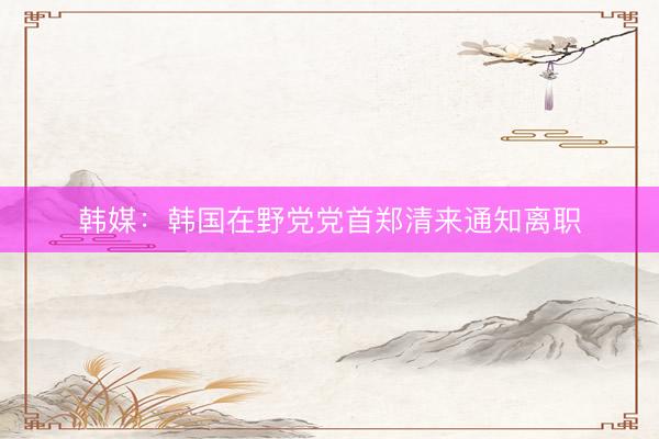 韩媒：韩国在野党党首郑清来通知离职